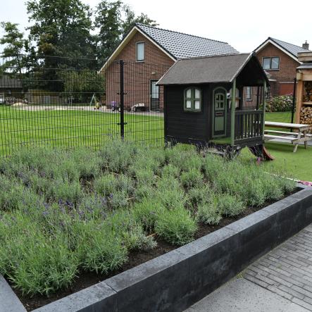 Voorbeeld border met Lavendel